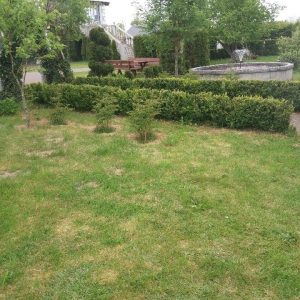 Agroturystyka przy Ogrodzie na Kaszubach